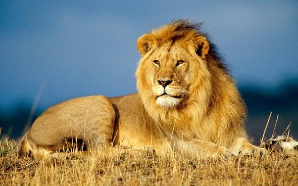 4M YoungMen Day 27